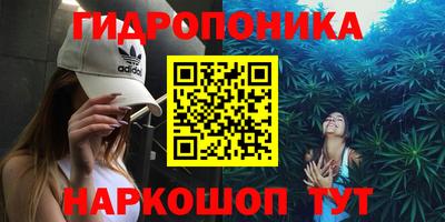 молекула духа Жуковский