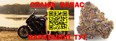 молекула духа Жуковский