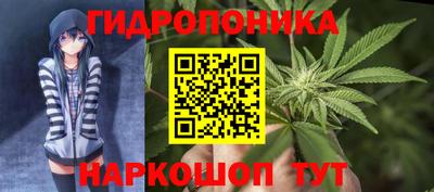 молекула духа Жуковский