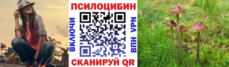 хочу   ссылка на мегу зеркало  Псилоцибиновые грибы Cubensis  Кострома 