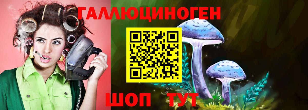 Кострома  Псилоцибиновые грибы Cubensis  Галлюциногенные грибы Psilocybine cubensis  закладки  Вход с VPN 